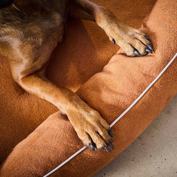 Orthopädisches Hundebett camel • LABONI® Buffalo