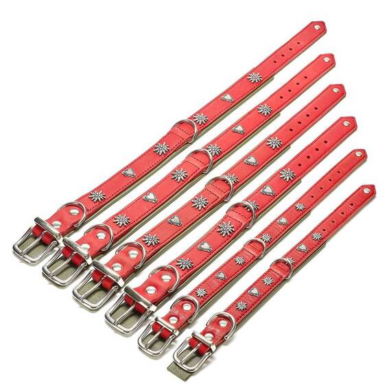 Gepolstertes Lederhalsband ‘Edelweiß' • LABONI®