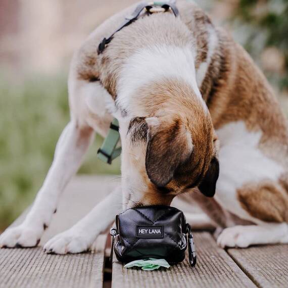 Kotbeutelspender schwarz • Heißer Scheiß