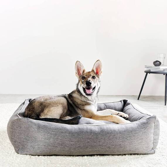 Orthopädisches Hundebett grau • LABONI® Uno