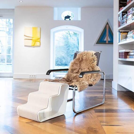 Hundetreppe dogBeam weiß • 2 Größen