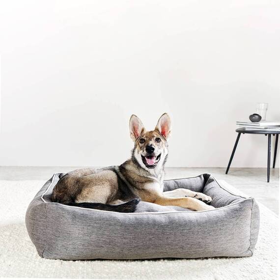 Orthopädisches Hundebett hellgrau • LABONI® Uno