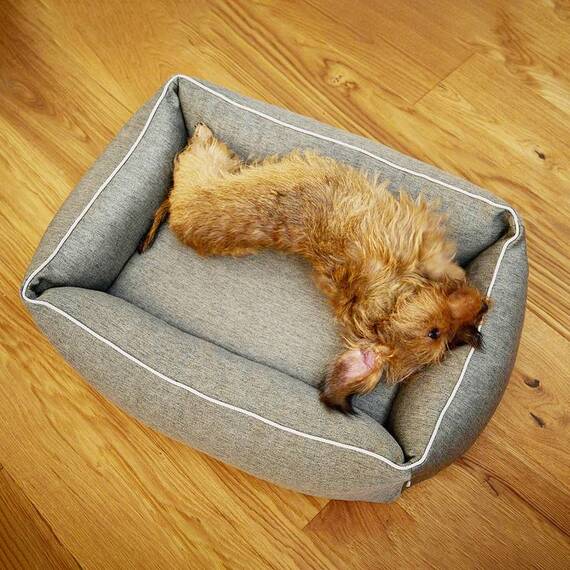 Orthopädisches Hundebett grün • LABONI® Uno