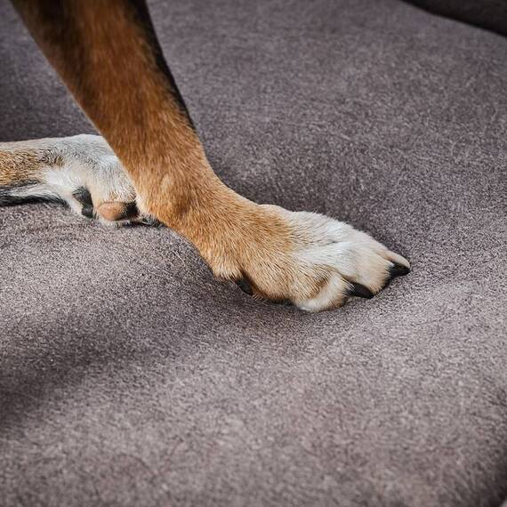 Orthopädisches Hundebett camel • LABONI® Buffalo