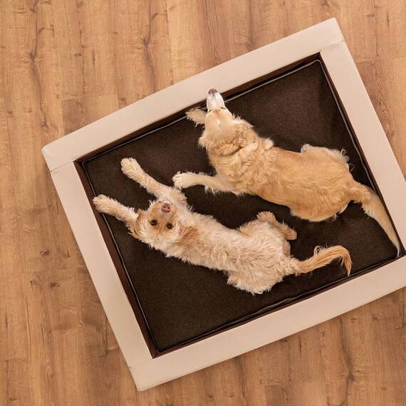 Orthopädisches Hundebett • Loden mit Kunstleder • beige