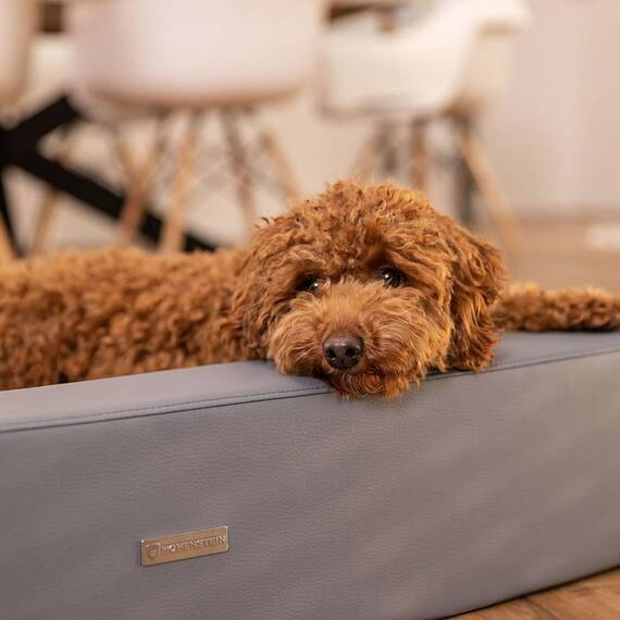 Orthopädisches Hundebett • Loden mit Kunstleder • grau