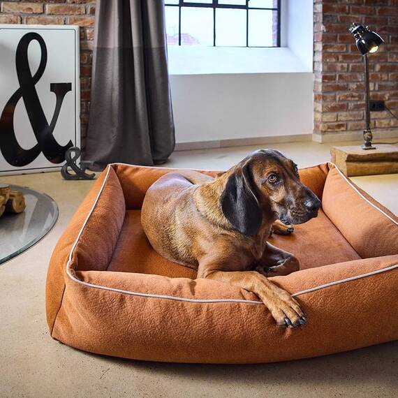 Orthopädisches Hundebett camel • LABONI® Buffalo