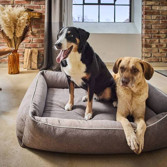 Orthopädisches Hundebett taupe • LABONI® Buffalo