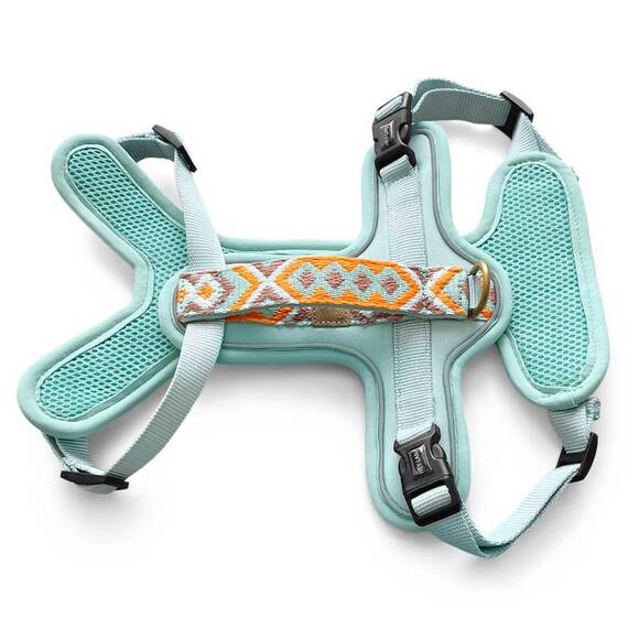 Premium-Hundegeschirr gepolstert mit Haltegriff • mint | orange