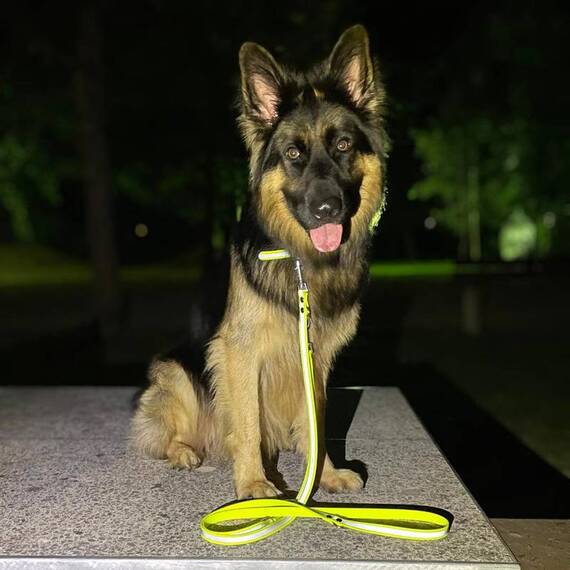 Reflektierende Hundeleine • BioThane® neongelb • 250 cm
