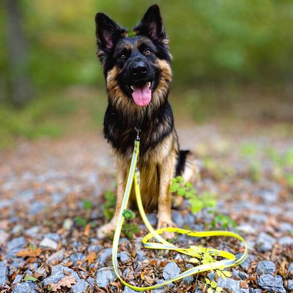 Reflektierende Hundeleine • BioThane® neongelb • 250 cm