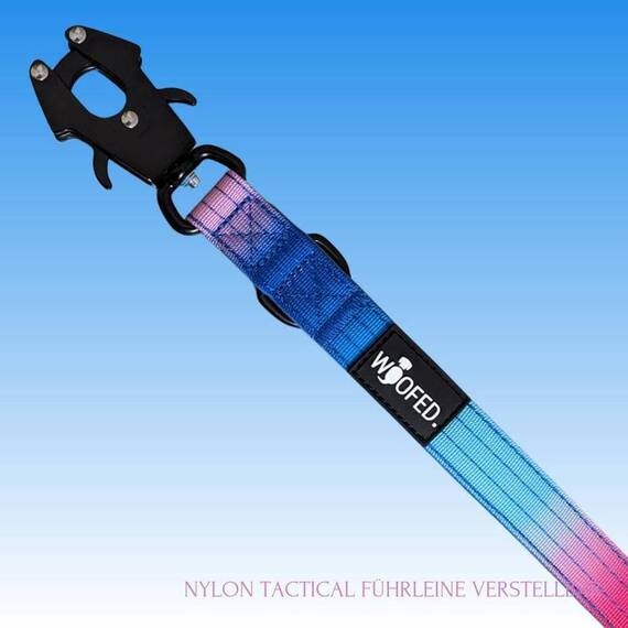 Sicherheits-Hundeleine • 250 cm • Pink Blue Sky