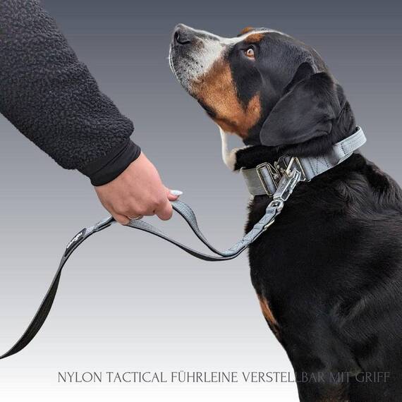 Sicherheits-Hundeleine • verschiedene Modelle • Silver Grey