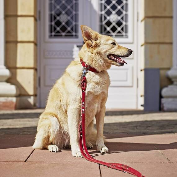 Gepolstertes Lederhalsband ‘Edelweiß' • LABONI®