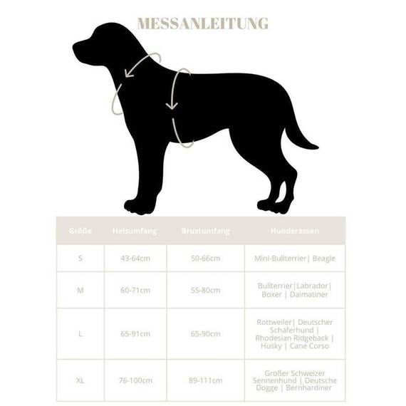 Y-Geschirr, verstellbar • mit Sicherheitsverschluss und Griff • orange