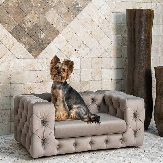 Luxus Hundesofa für kleine Hunde • GLAMOUR beige