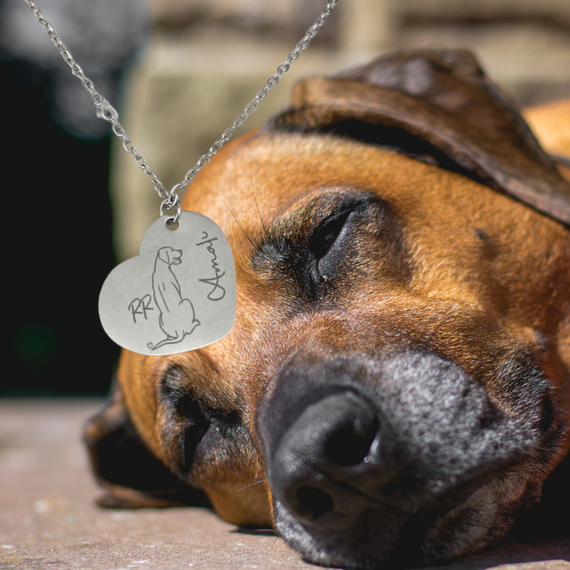Halskette 'Herz' Rhodesian Ridgeback, roségold • personalisierbar