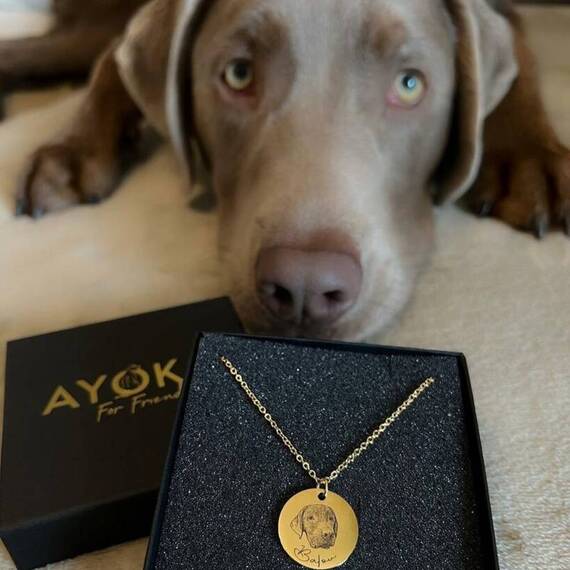 Halskette mit graviertem Hundeportrait nach Foto • gold