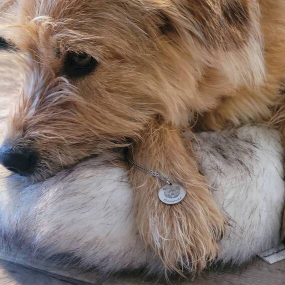 Halskette mit graviertem Hundeportrait nach Foto • roségold