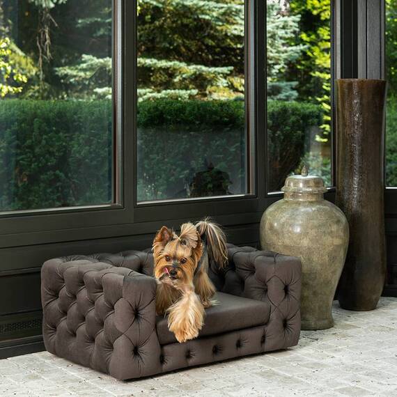 Luxus Hundesofa für kleine Hunde • GLAMOUR brown