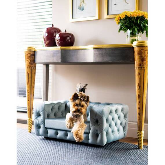 Luxus Hundesofa für kleine Hunde • GLAMOUR blue