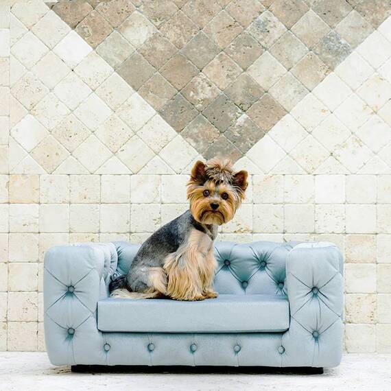Luxus Hundesofa für kleine Hunde • GLAMOUR blue