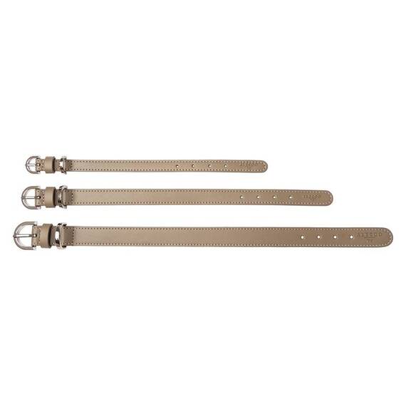 Veganes Hundehalsband aus Apfelleder beige • CLASSY SAND SILVER