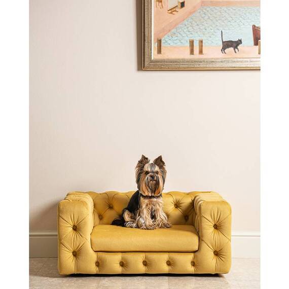 Luxus Hundesofa für kleine Hunde • GLAMOUR yellow