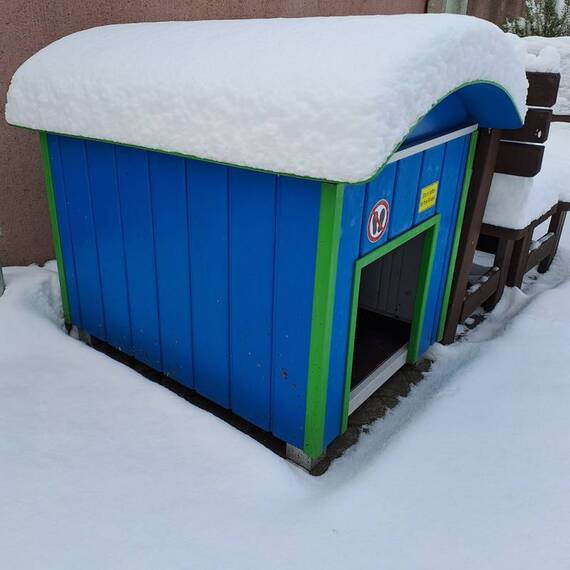 Große Hundehütte, konfigurierbar • Modell 'Bauwagen'