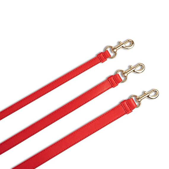 Vegane Hundeleine aus Apfelleder, rot • Kombileine CLASSY SUNSET GOLD