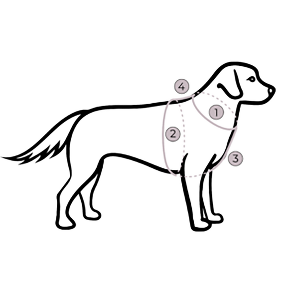 Y-Geschirr Outdoor Flex, verstellbar mit Haltegriff • neonorange | grün