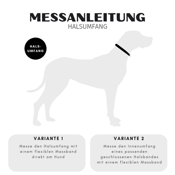 BioThane® Halsband mit Name • konfigurierbar • 38 mm