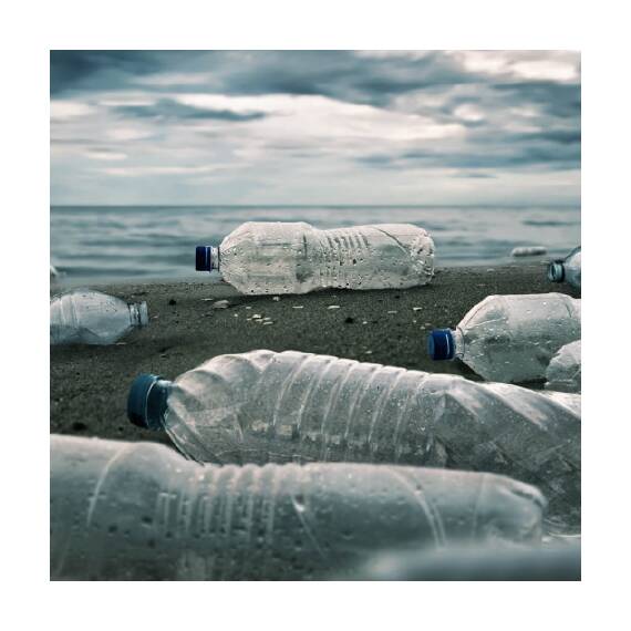 Hundehöhle Filz hellgrau • PETpocket • Einlegekissen nach Wahl