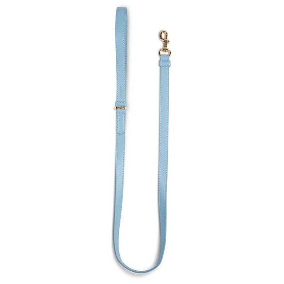 Vegane Hundeleine aus Apfelleder, blau • Cityleine CLASSY ICE GOLD