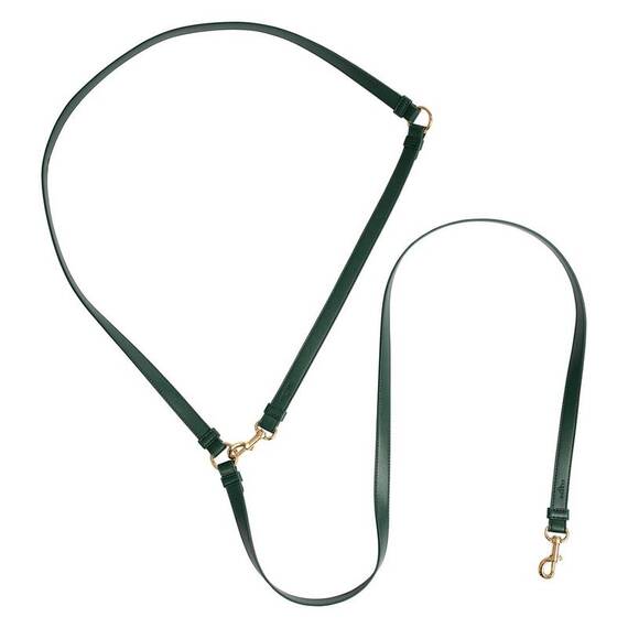 Vegane Hundeleine aus Apfelleder, grün • Kombileine CLASSY DARK GREEN GOLD