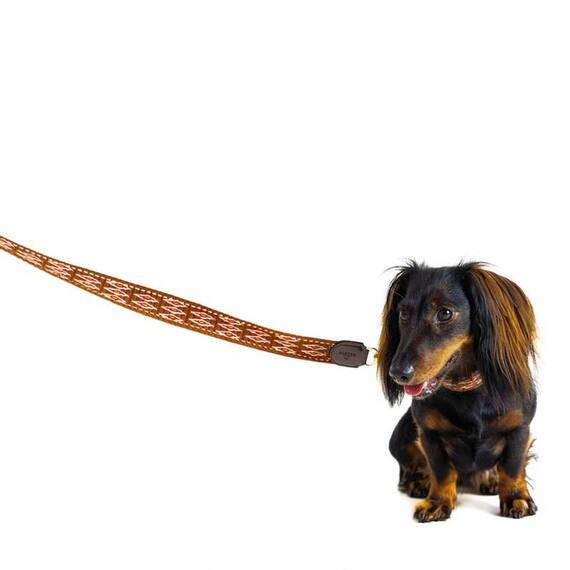 Hundeleine aus Baumwolle und Apfelleder, 130cm • Amal Cognac