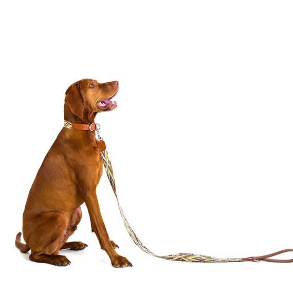Hundeleine aus Baumwolle und Apfelleder, 130cm • Ananda Earth