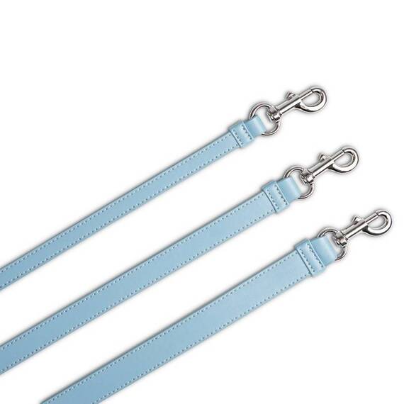 Vegane Hundeleine aus Apfelleder, blau • Cityleine CLASSY ICE SILVER