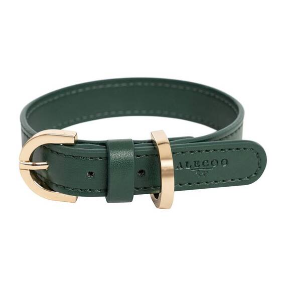 Veganes Hundehalsband aus Apfelleder grün • CLASSY DARK GREEN GOLD