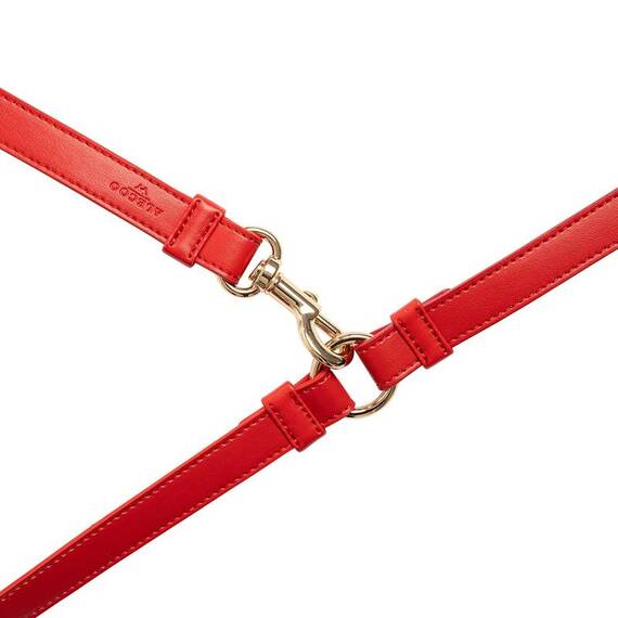 Vegane Hundeleine aus Apfelleder, rot • Kombileine CLASSY SUNSET GOLD