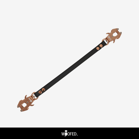 Hunde-Autogurt mit Sicherheitskarabiner