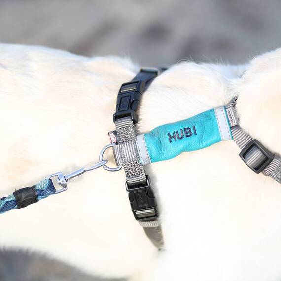 SOS Namensschild für den Hund mit Telefonnummer • Klettverschluss