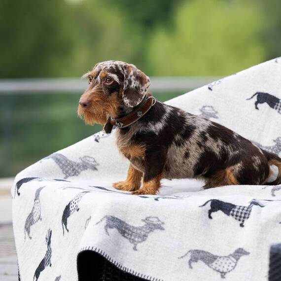 Doubleface Hundedecke mit Dackelmotiv 'Teckel' • Laboni