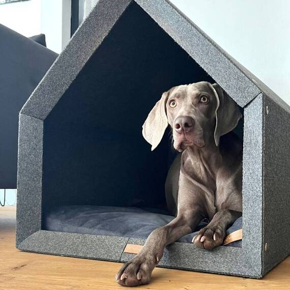 Hundehöhle Filz dunkelgrau • PETHome • mit Einlegekissen nach Wahl