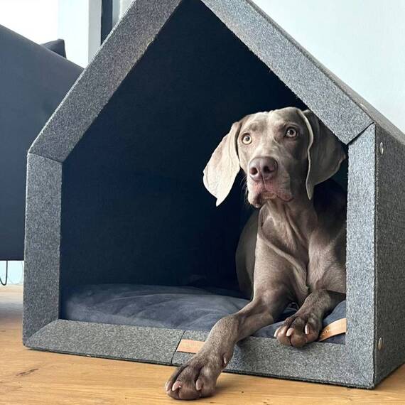 Hundehöhle Filz hellgrau • PETHome • mit Einlegekissen nach Wahl