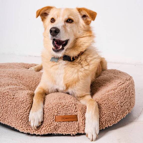 Rundes Hundekissen TEDDY