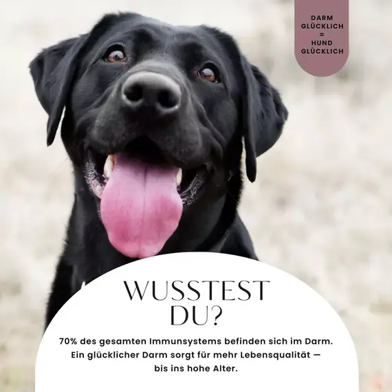 Funktionsleckerli • Magen & Darm Formel