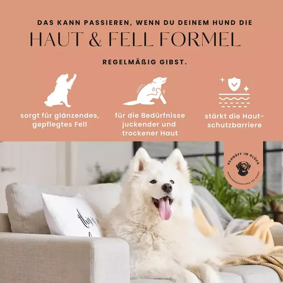 Funktionsleckerli • Haut & Fell Formel