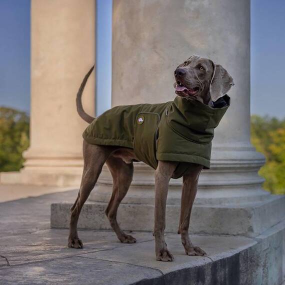 Wasserfester Wintermantel für Hunde • Oskar von Theo & Emma