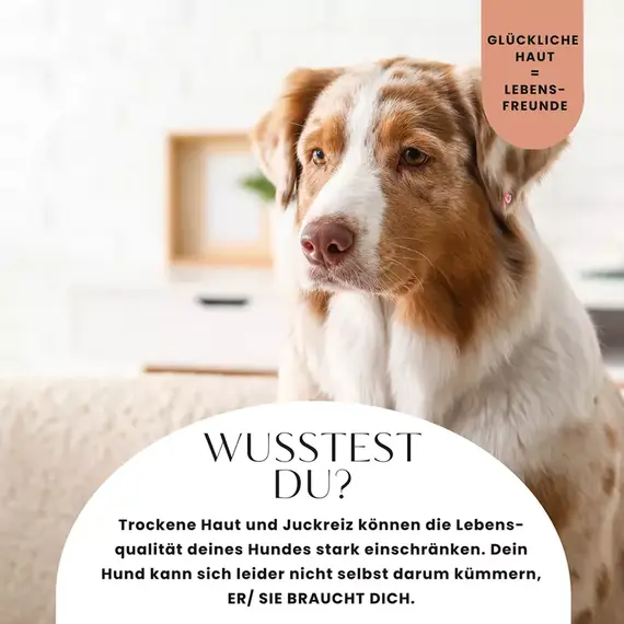 Funktionsleckerli • Haut & Fell Formel